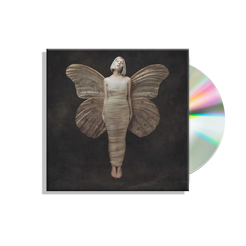 洋楽 AURORA All My Demons Greeting Me as a Fr All My Demons Greeting Me as a Friend - Wikipedia