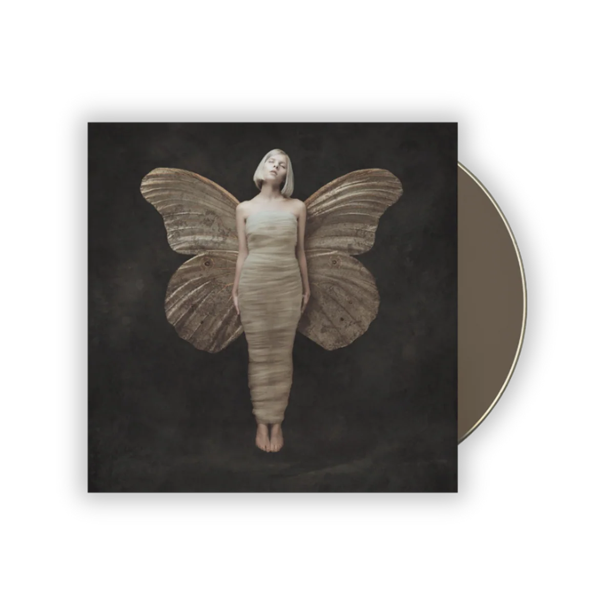 All My Demons Greeting Me As A Friend - CD