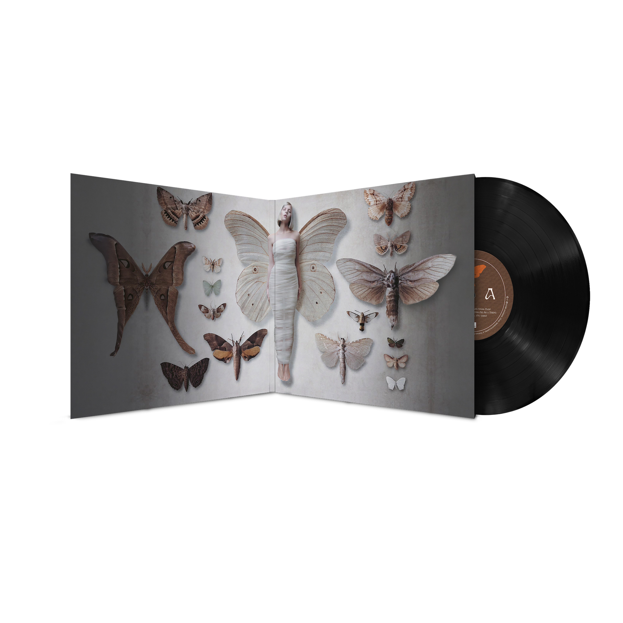 All My Demons Greeting Me As A Friend (The Moth Tapes) - LP